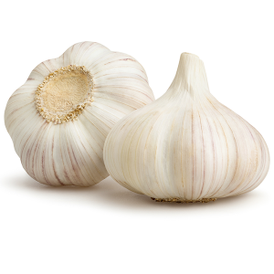 Garlic. ثوم