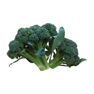 Broccoli Bahrain