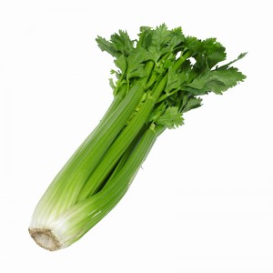 Celery Holland 1 Pcs