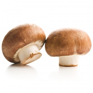 Mushroom Brown | 250 gm