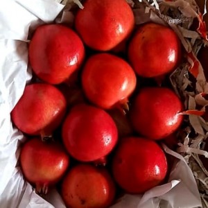 Pomegranate India