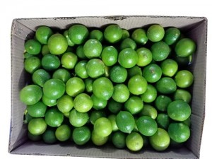 Lime Green 6 Kg