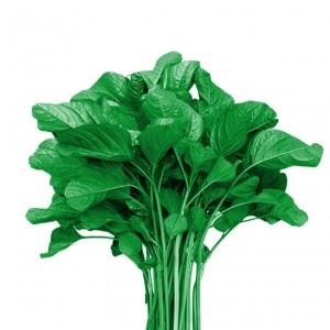 Spinach Green