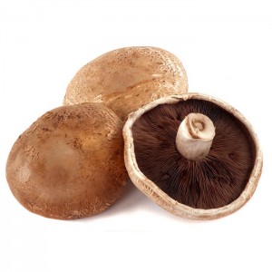 Mushroom Portabello * | 250 gm 1 pkt