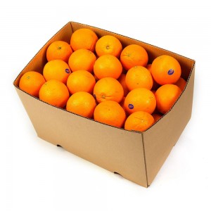Orange Valencia Box | 15kg