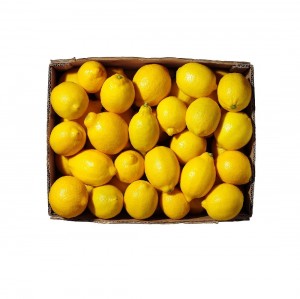 Lemon Box | 15kg