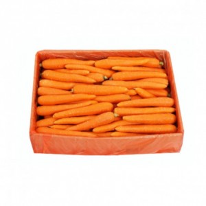 Carrot Cartoon-10Kg