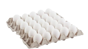 Egg Saudi 30 PCs
